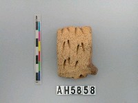 藏品(黃褐色橋把)的圖片